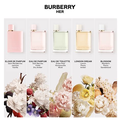 burberry her eau de parfum notes